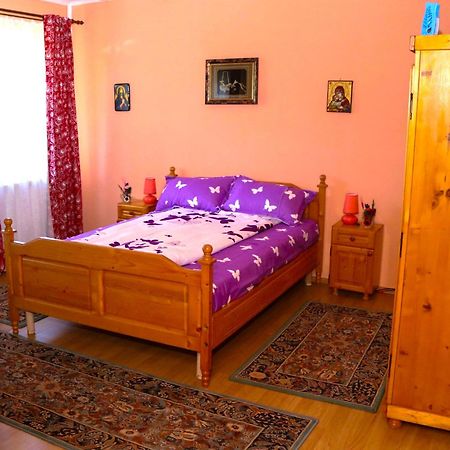 Apartament Iulia Geoagiu Băi エクステリア 写真