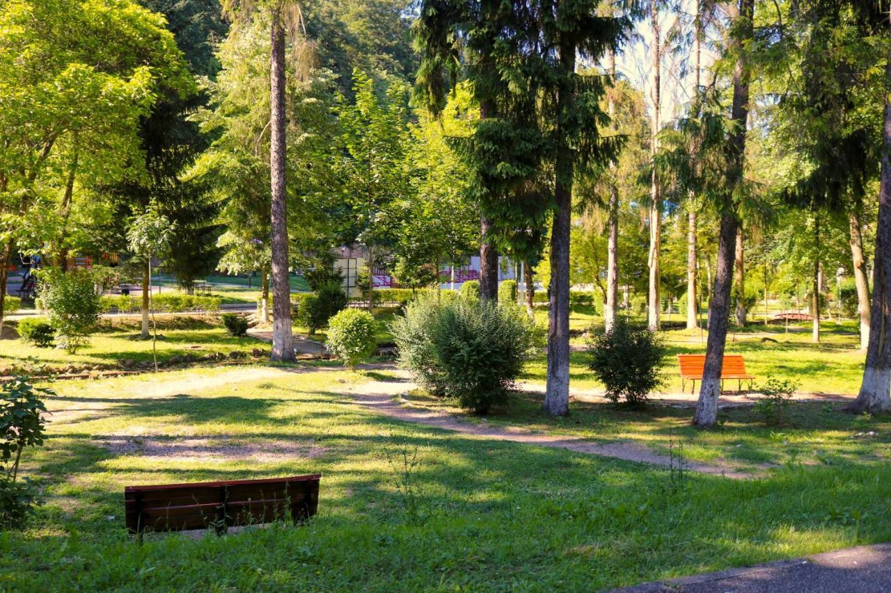 Apartament Iulia Geoagiu Băi エクステリア 写真