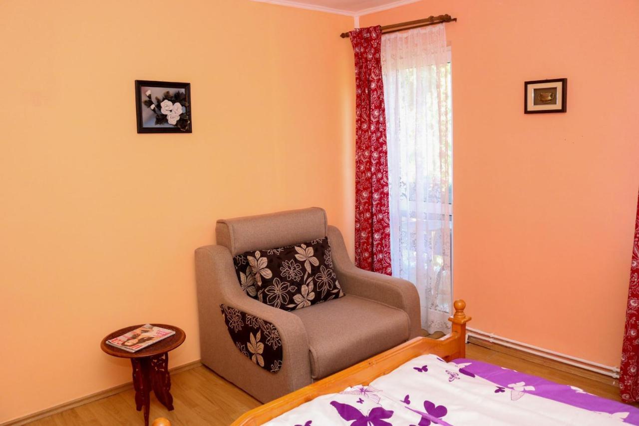 Apartament Iulia Geoagiu Băi エクステリア 写真