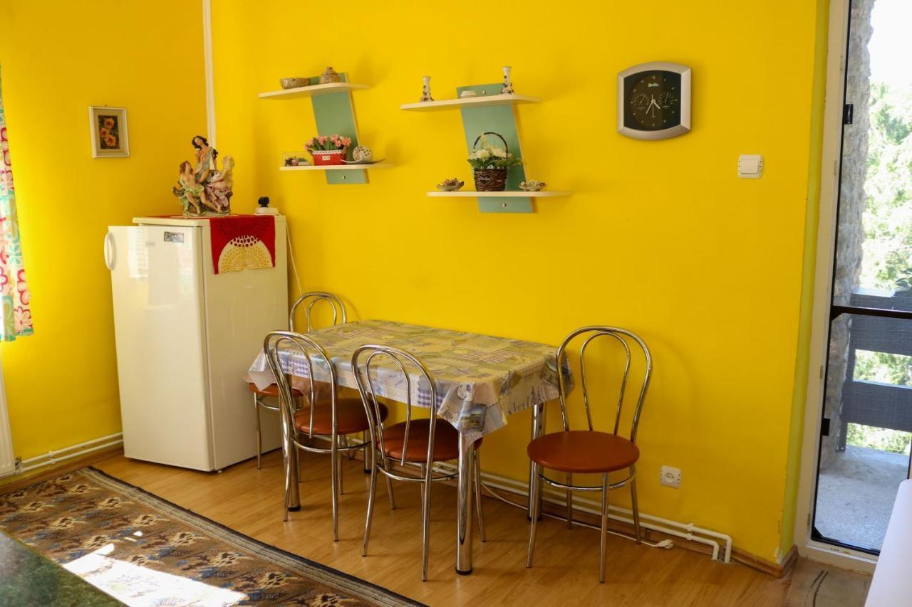 Apartament Iulia Geoagiu Băi エクステリア 写真