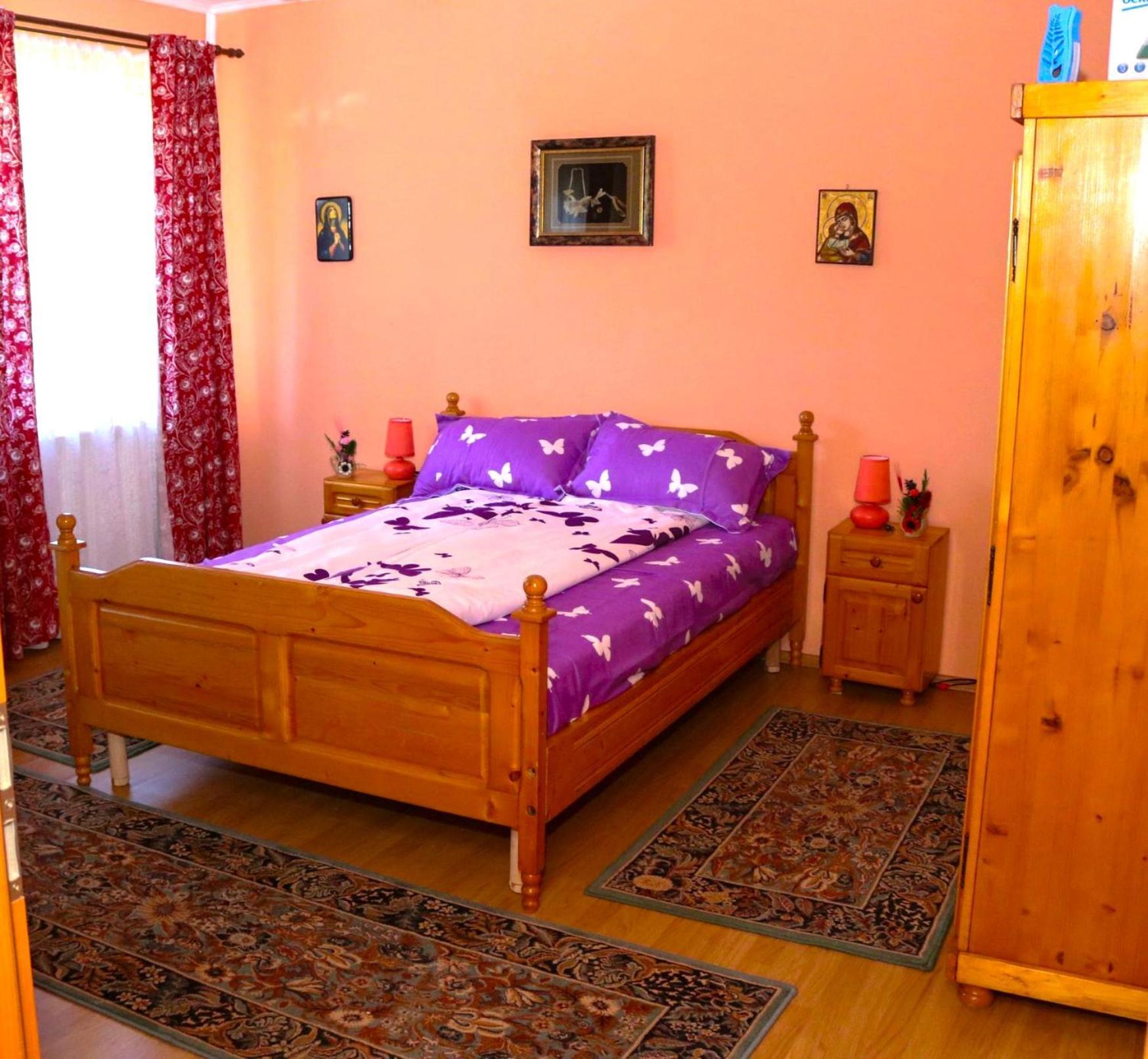 Apartament Iulia Geoagiu Băi エクステリア 写真