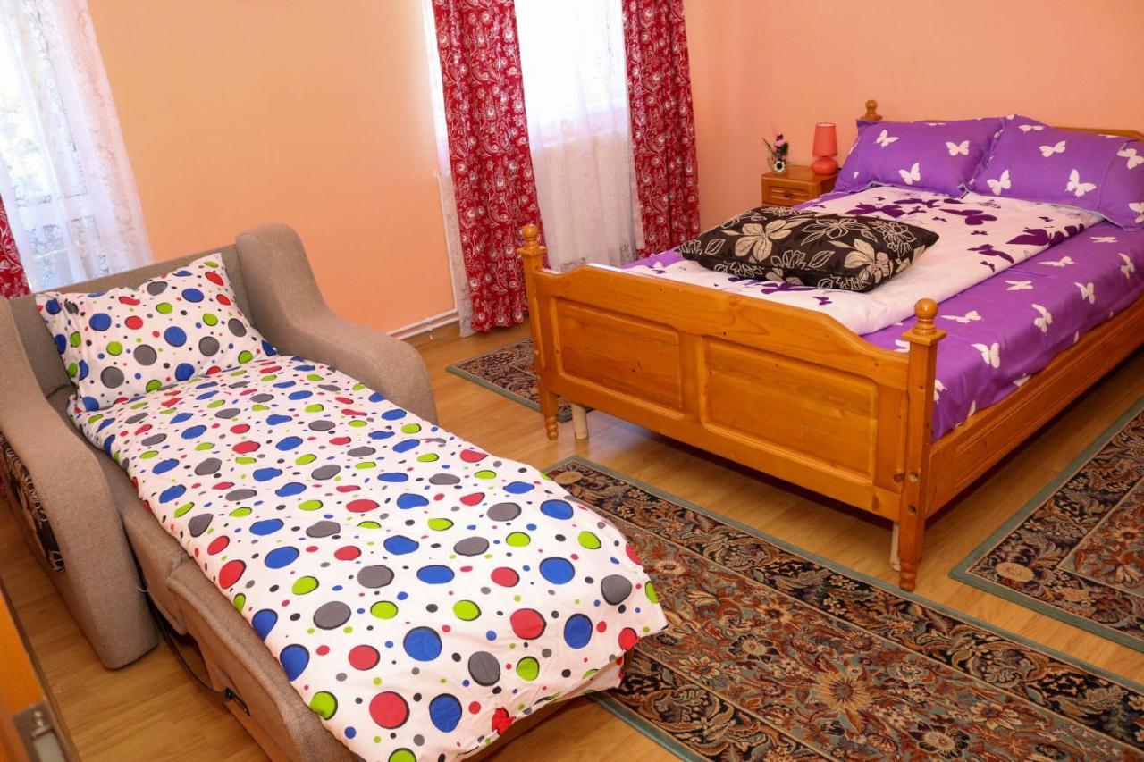 Apartament Iulia Geoagiu Băi エクステリア 写真