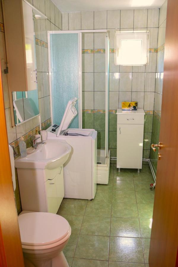 Apartament Iulia Geoagiu Băi エクステリア 写真
