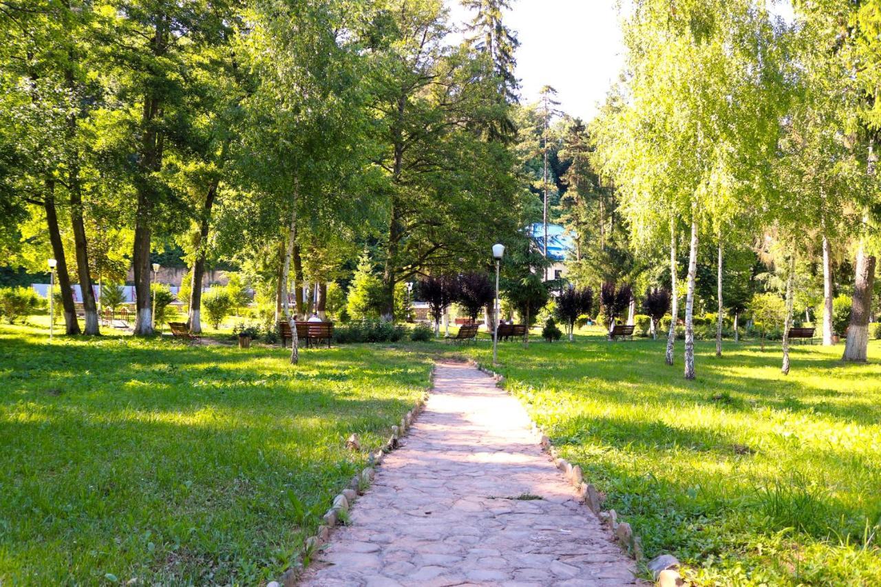Apartament Iulia Geoagiu Băi エクステリア 写真
