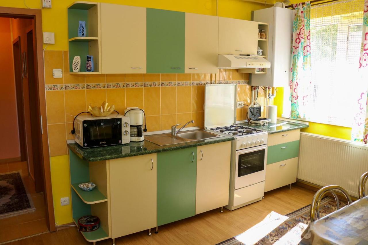 Apartament Iulia Geoagiu Băi エクステリア 写真